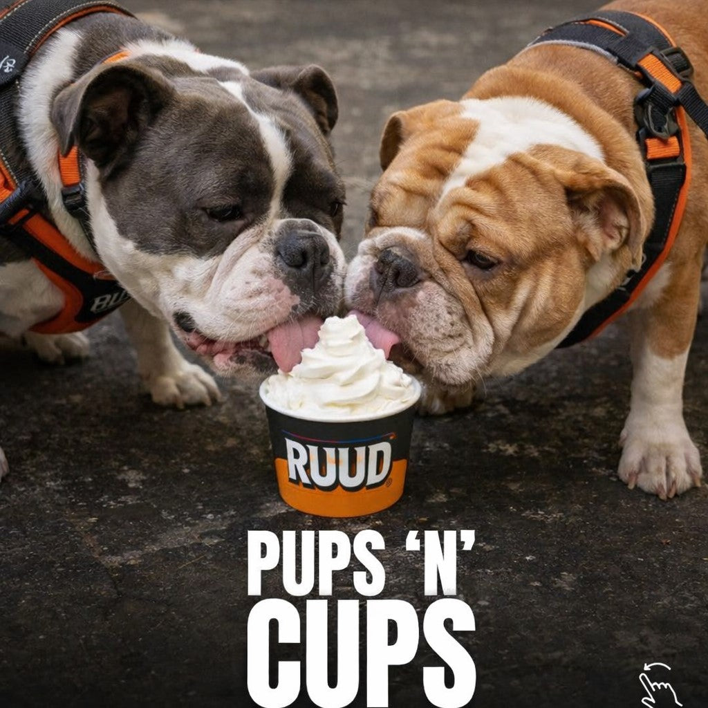 Two bulldogs licking a cup labeled 'RUUD PUPS 'N' CUPS' on a dark surface.